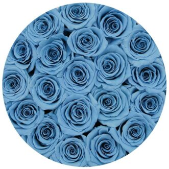 25 синих роз в шляпной коробке