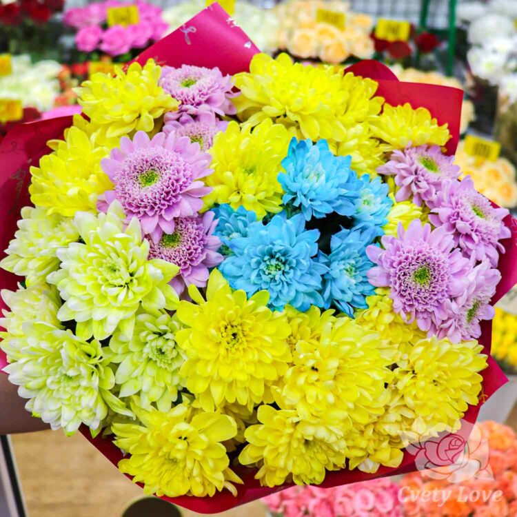 Букет из 7 разноцветных хризантем
