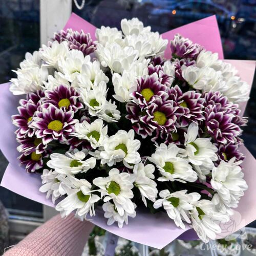 Букет из 11 фиолетовых и белых хризантем